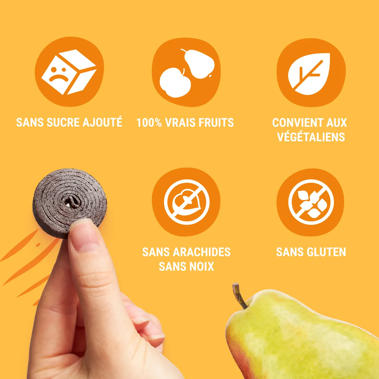 FR_CAN_eatpaly_bobnimals_ 3