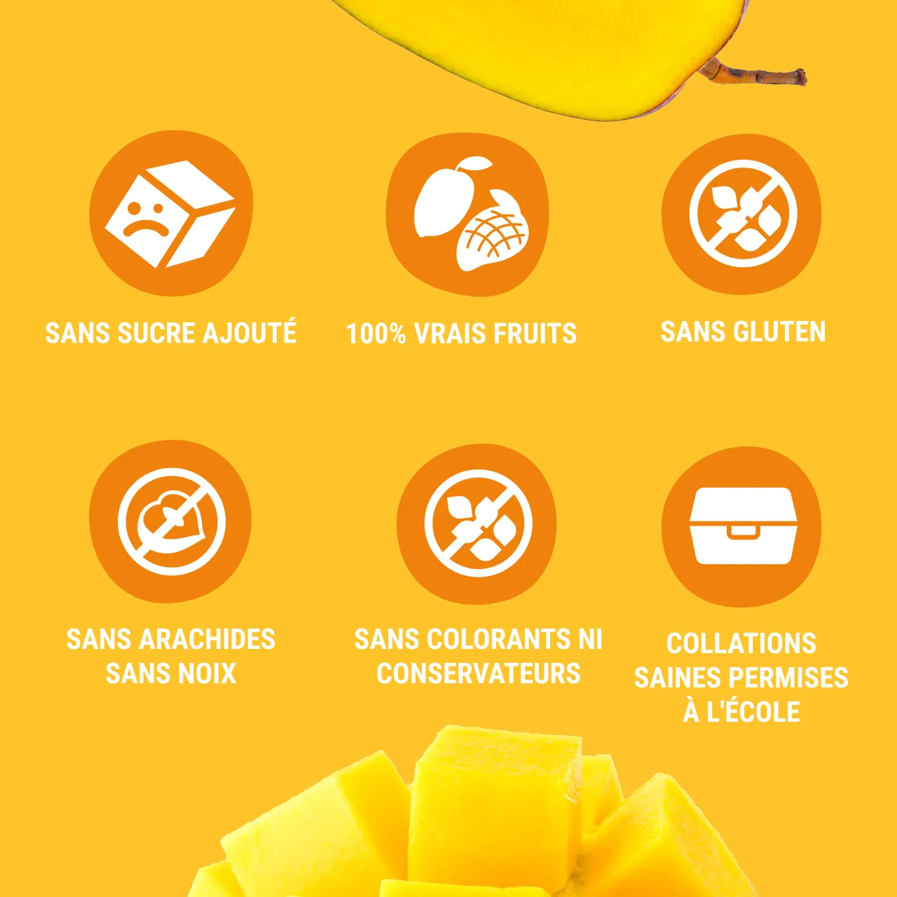 FR_CAN_fruit_snack_40_mango_ 3 (1)