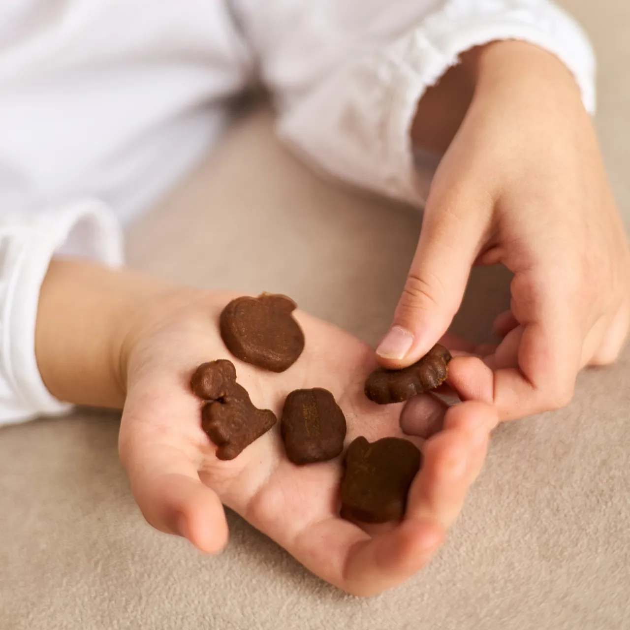 FR_CAN_fruit_snack_40_mango_ 6 (1)