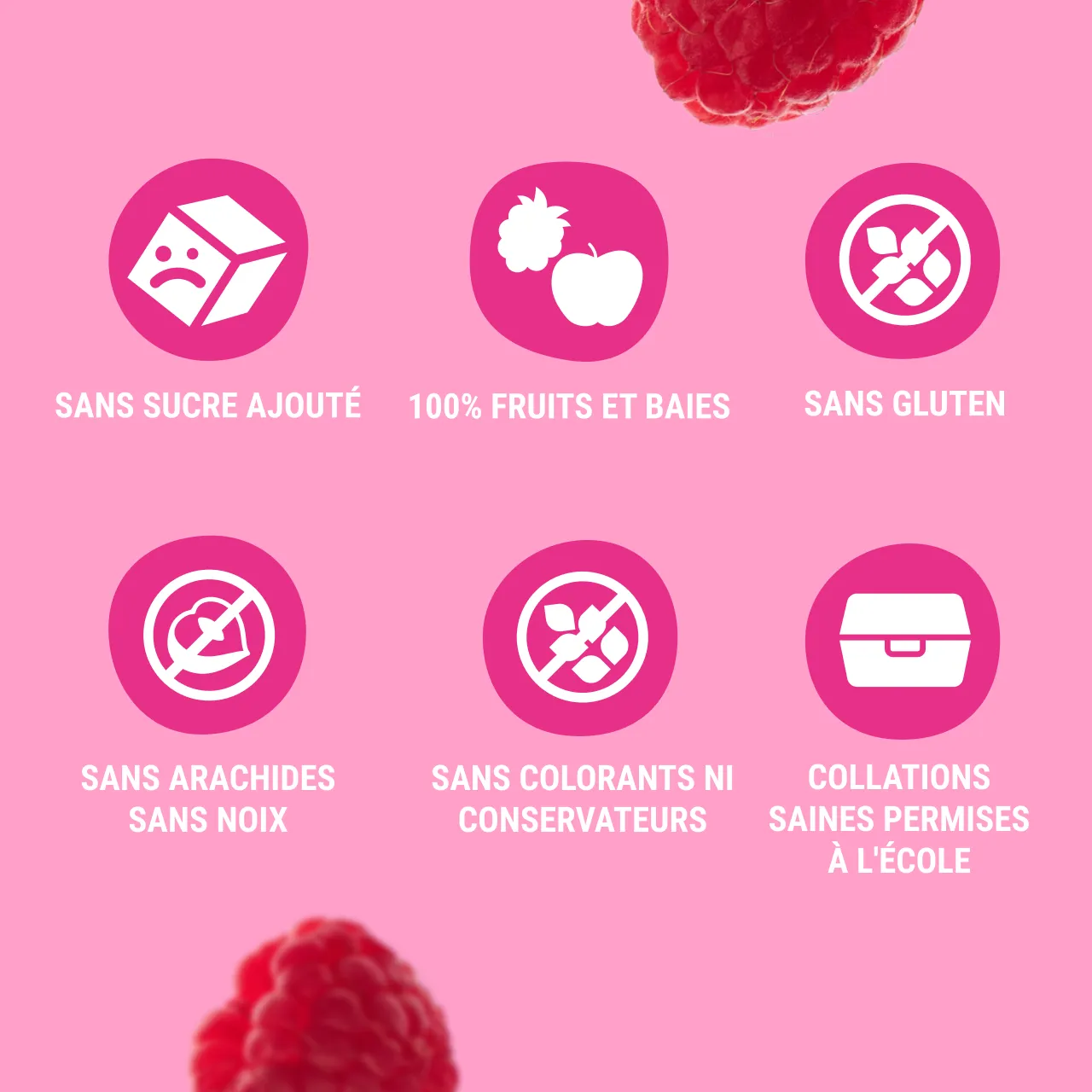 FR_CAN_fruit_snack_40_raspb_ 3 (1)