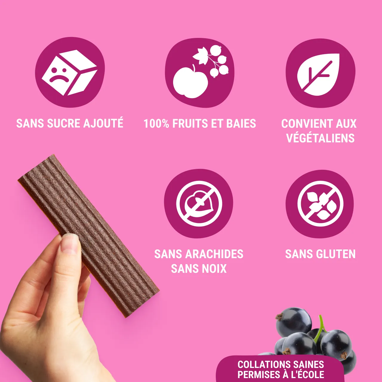 FR_CAN_stripe_84_currant_ 3