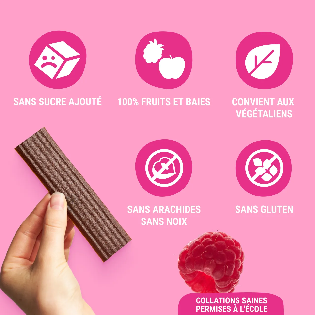 FR_CAN_stripe_84_raspb_ 3 (1)