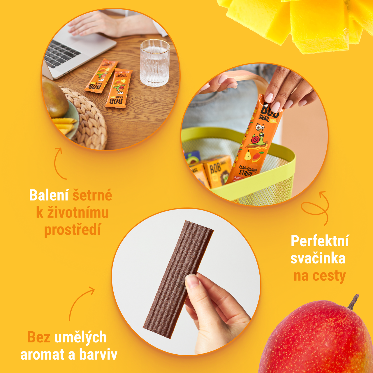 CZ_stripe_14_mango_ 4